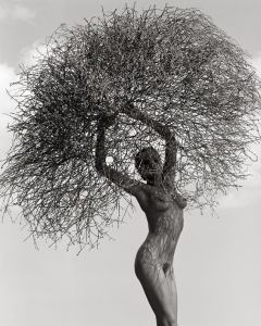 Herb Ritts - Neith With Tumbleweed, Paradise Cove 1986