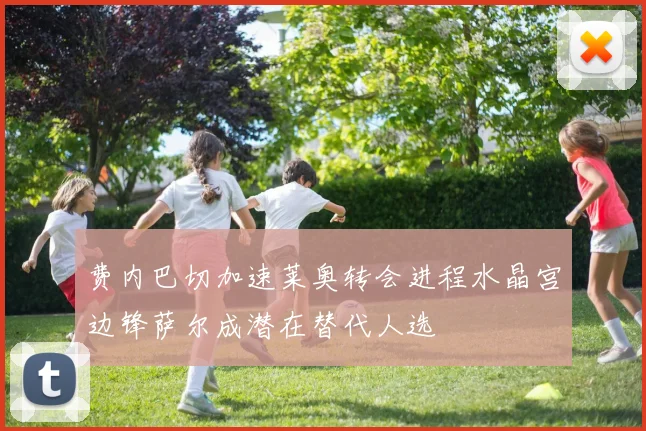 费内巴切加速莱奥转会进程水晶宫边锋萨尔成潜在替代人选