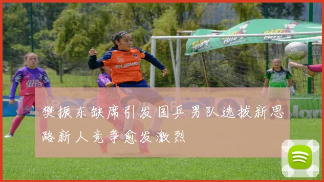 樊振东缺席引发国乒男队选拔新思路新人竞争愈发激烈